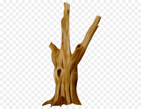 Сухой ствол дерева