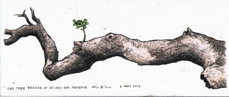 Нарисовать поваленное дерево