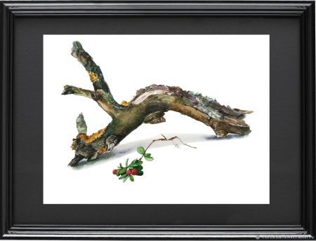 Коряга живопись