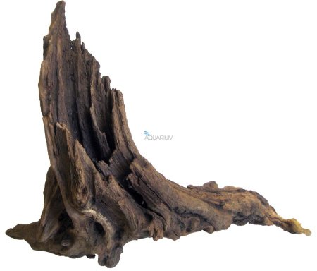 Старая коряга