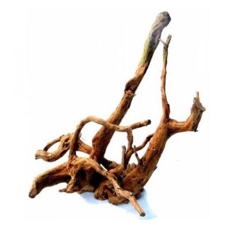 Дерево коряга