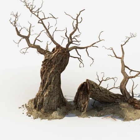 Сухая коряга