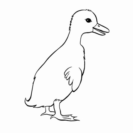 Утенок рисунок для детей