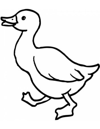 Гадкий утенок утка