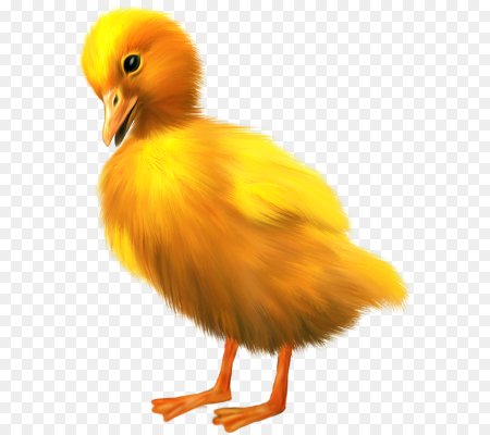 Гусь гусыня и гусята