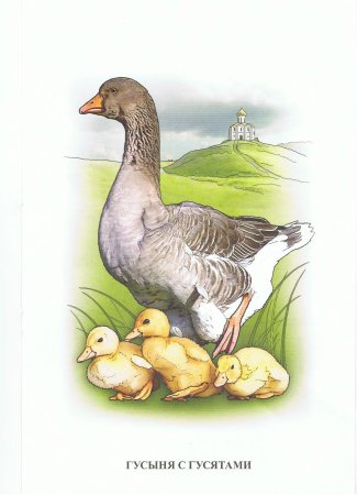 Гусенок мультяшный