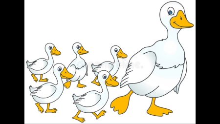 Сухомлинский сказка о гусыне иллюстрации