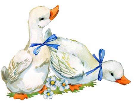 Гусыня с гусятами