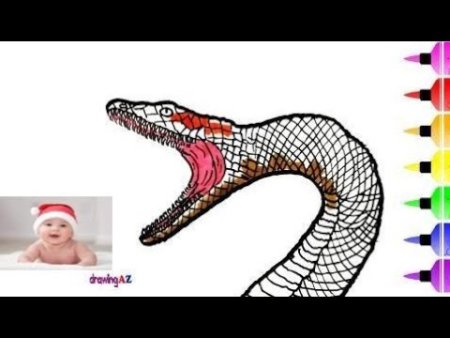 Рисунок анаконды легкий