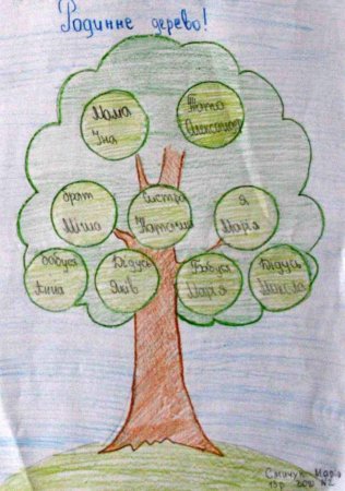 Генеалогическое дерево для детей