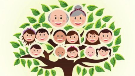 Нарисовать генеалогическое дерево семьи