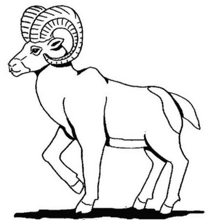 Горный козел для раскрашивания