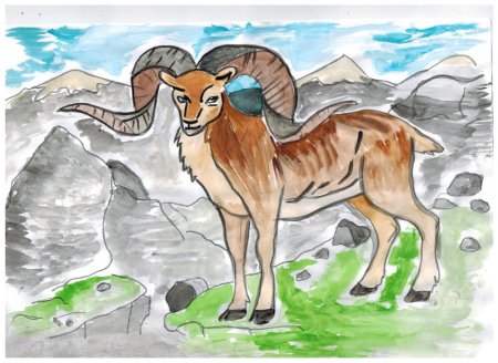 Алтайский горный баран мультяшный