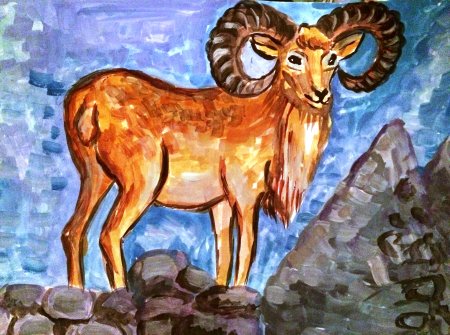 Алтайский горный баран аргали рисунок