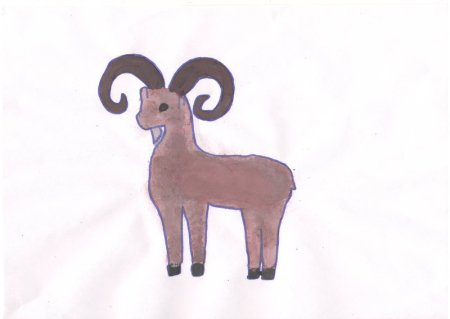 Архар рисунок детский