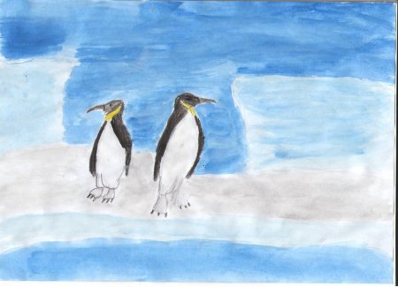 Антарктида рисунок