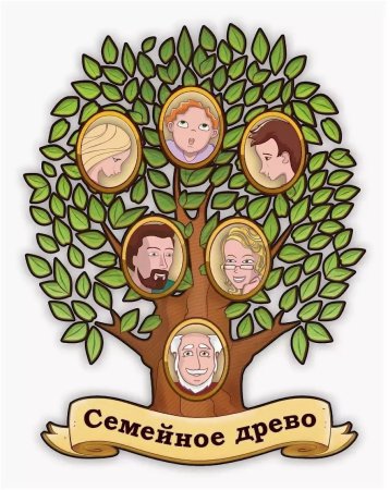 Родословное дерево в школу