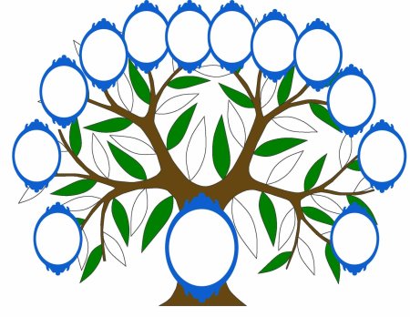 Генеалогическое Древо Family Tree