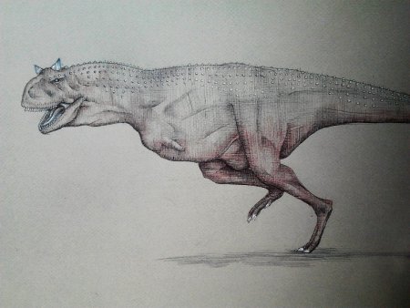 Карнотавр портрет