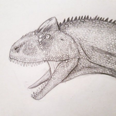 Карнотавр рисунок