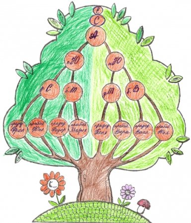 Генеалогическое Древо яблоня рисунок