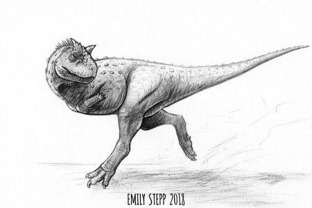Зарисовки карнотавра