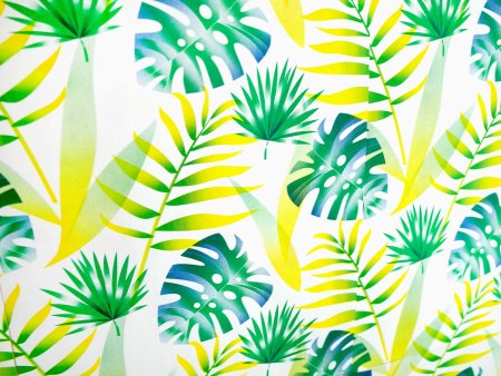 Бали монстера папоротник джунгли