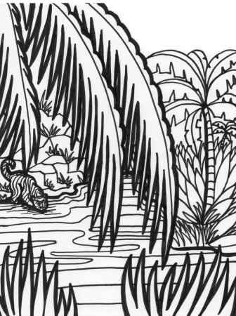 Раскраска джунгли