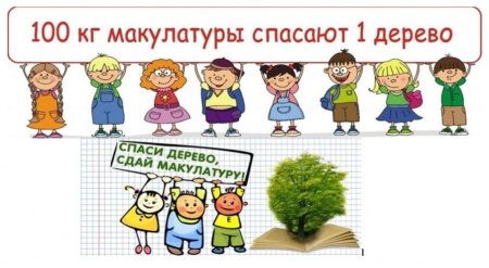 Спасем деревья сбор макулатуры