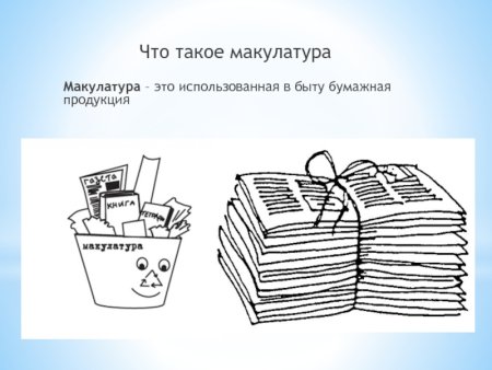 Итоги сбора макулатуры картинки