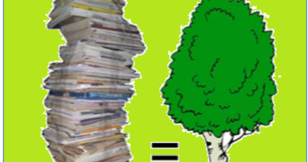 Сбор макулатуры дерево