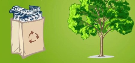 Сбор макулатуры картинки