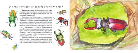 Рисование в живописи жука оленя