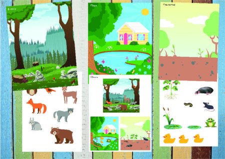 Среда обитания для дошкольников