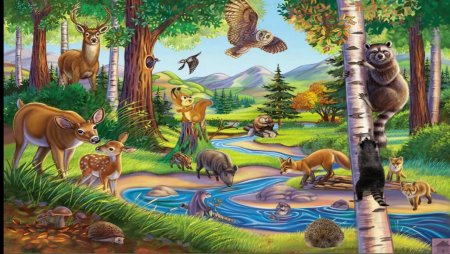 Фое животные леса для детей