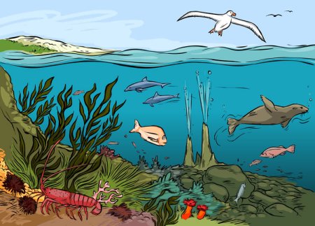 Морские экосистемы