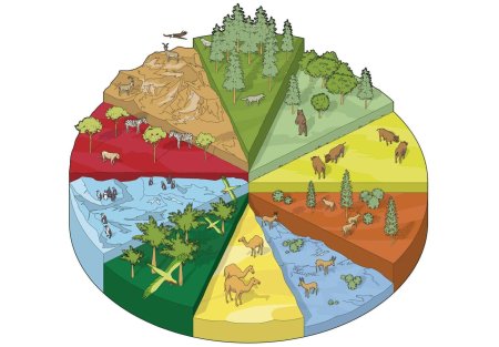 Экологическое разнообразие