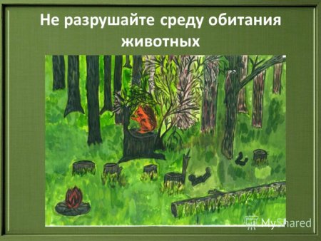 Рисунок на тему лес и его обитатели