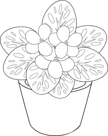 Раскраска фиалка в горшке