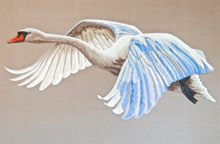 Рисуем лебедя в полете