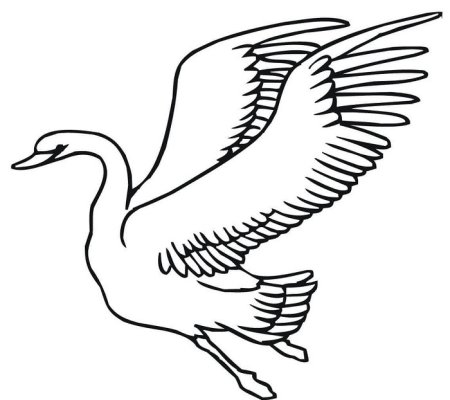 2. Как рисовать контуры крыльев