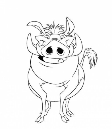 Раскрашивать Тимон и Пумба