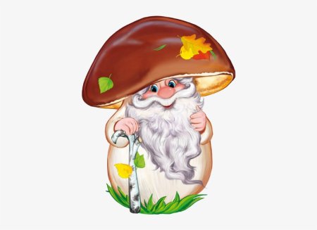 Гриб старичок Боровичок