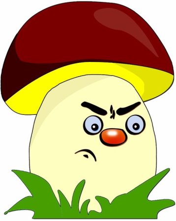 Гриб старичок Боровичок