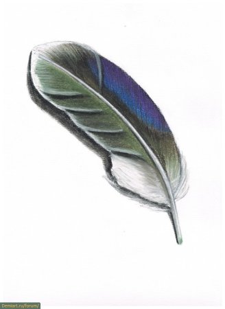 Перо для детей