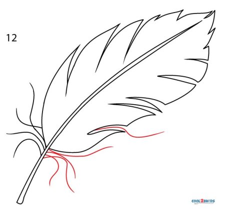 Перо голубя нарисовать