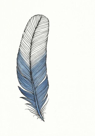 Легкое перо