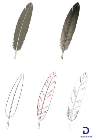 Лучшие перья для рисования