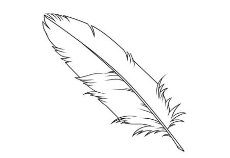 Перо раскраска для детей