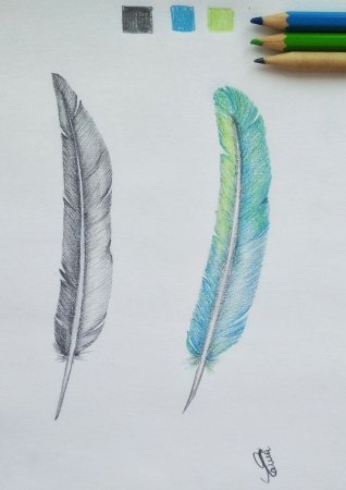 Перо вороны нарисовать